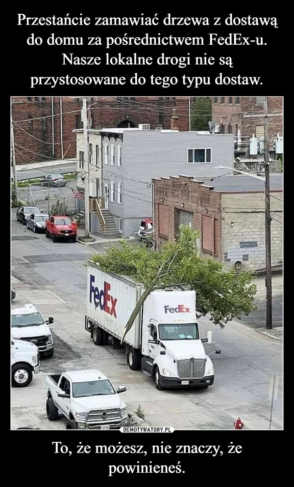 
    Przestańcie zamawiać drzewa z dostawą do domu za pośrednictwem FedEx-u. Nasze lokalne drogi nie są przystosowane do tego typu dostaw. To, że możesz, nie znaczy, że powinieneś.