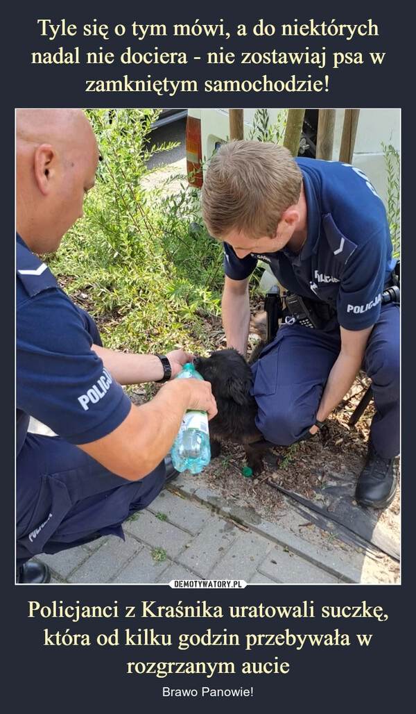 
    Tyle się o tym mówi, a do niektórych nadal nie dociera - nie zostawiaj psa w zamkniętym samochodzie! Policjanci z Kraśnika uratowali suczkę, która od kilku godzin przebywała w rozgrzanym aucie