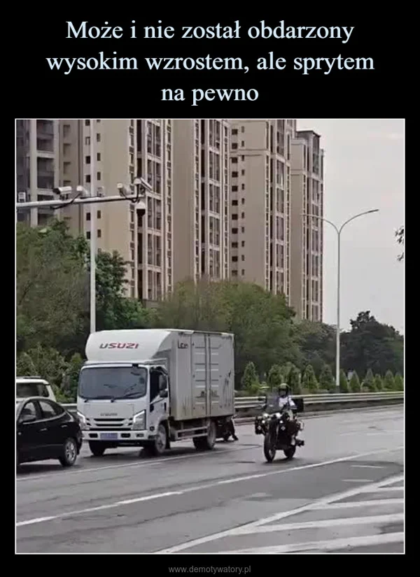 
    Może i nie został obdarzony wysokim wzrostem, ale sprytem na pewno