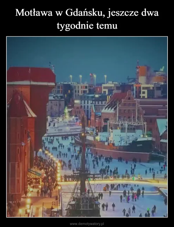 
    Motława w Gdańsku, jeszcze dwa tygodnie temu