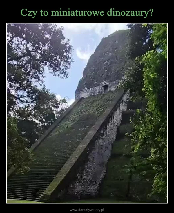 
    Czy to miniaturowe dinozaury?