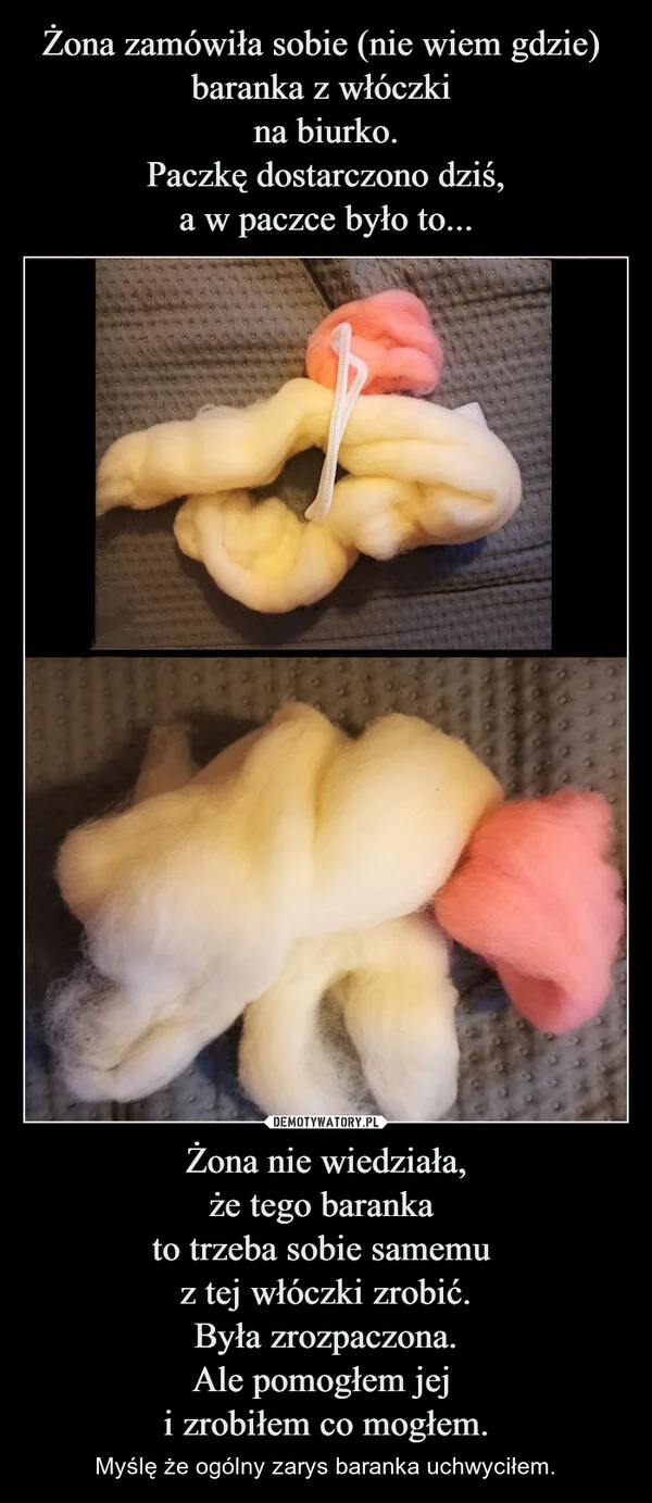 
    Żona zamówiła sobie (nie wiem gdzie) baranka z włóczki na biurko. Paczkę dostarczono dziś, a w paczce było to... Żona nie wiedziała, że tego baranka to trzeba sobie samemu z tej włóczki zrobić. Była zrozpaczona. Ale pomogłem jej i zrobiłem co mogłem.