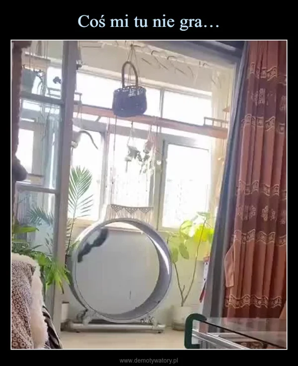 
    Coś mi tu nie gra…