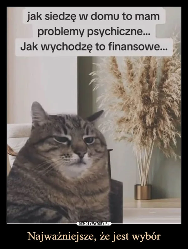 
    Najważniejsze, że jest wybór