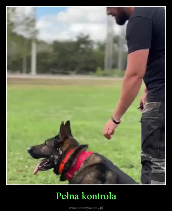 
    Pełna kontrola