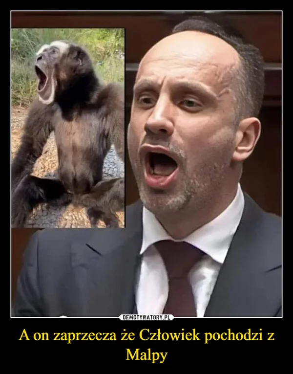 
    A on zaprzecza że Człowiek pochodzi z Malpy