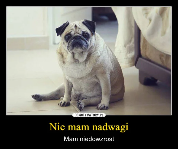 
    Nie mam nadwagi