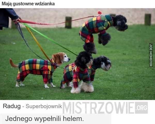 
    Mają gustowne wdzianka