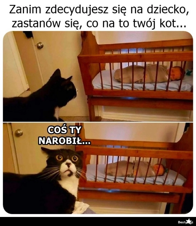 
    Ten jest w wyraźnym szoku 