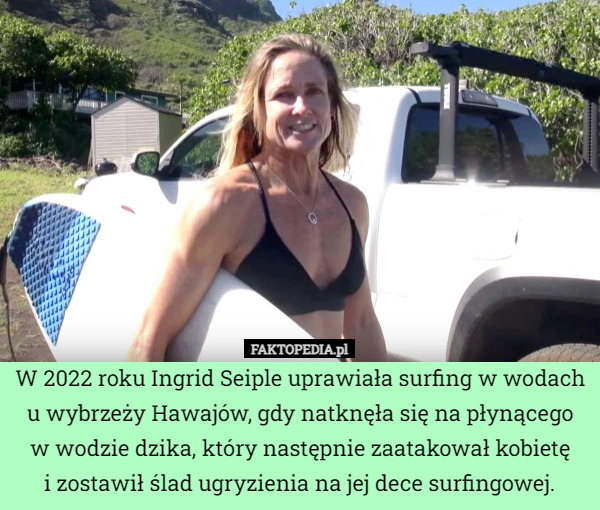 
    W 2022 roku Ingrid Seiple uprawiała surfing w wodach u wybrzeży Hawajów,