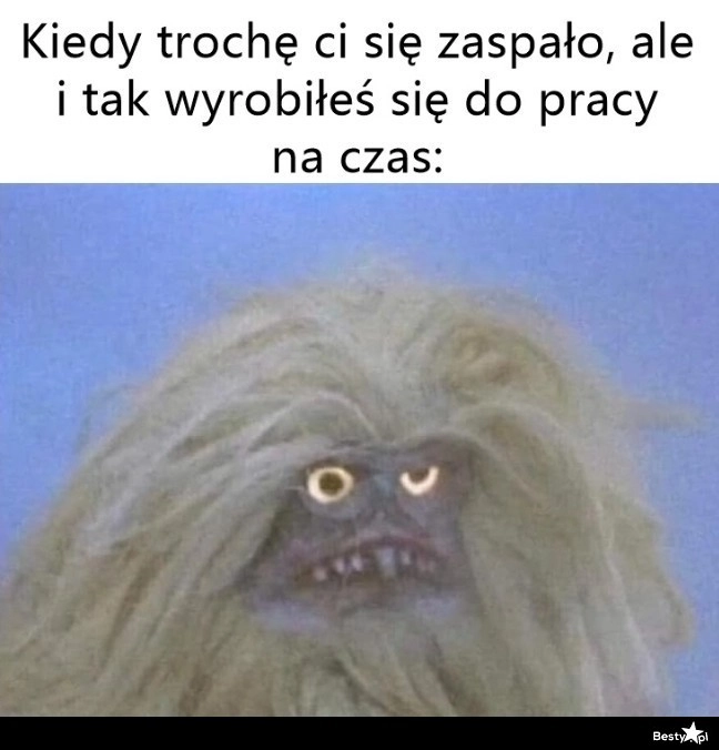 
    Udało się, ale jakim kosztem 