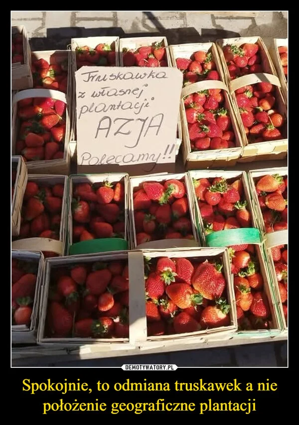 
    Spokojnie, to odmiana truskawek a nie położenie geograficzne plantacji