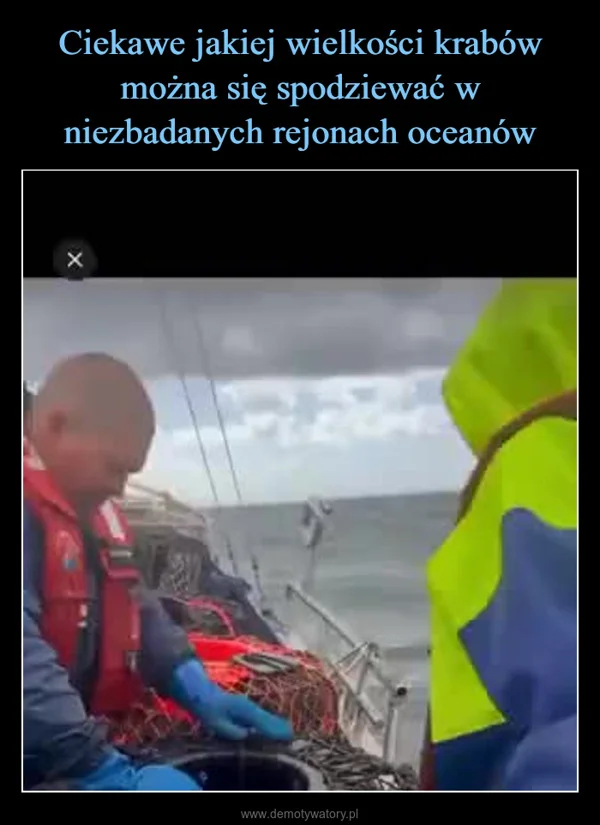 
    Ciekawe jakiej wielkości krabów można się spodziewać w niezbadanych rejonach oceanów