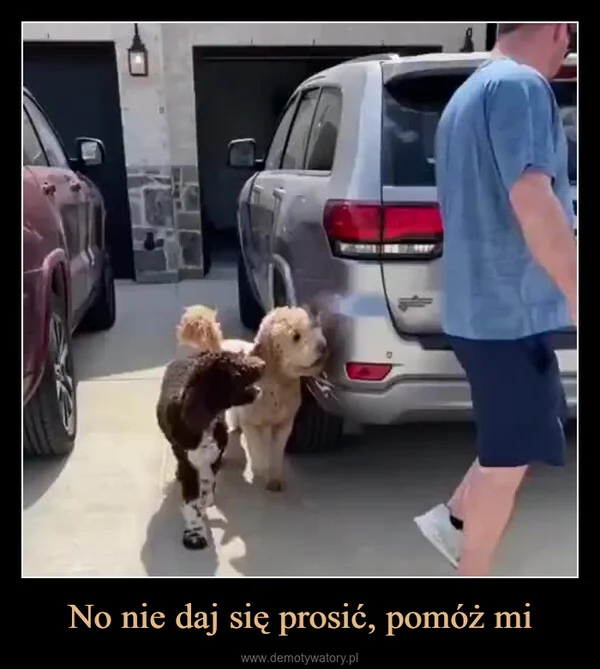 
    No nie daj się prosić, pomóż mi