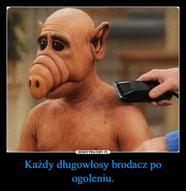 
    Każdy długowłosy brodacz po ogoleniu.
