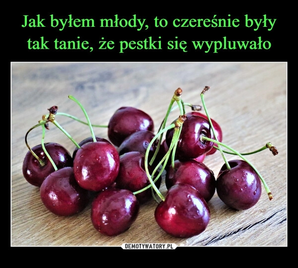 
    Jak byłem młody, to czereśnie były tak tanie, że pestki się wypluwało