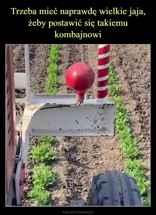 
    Trzeba mieć naprawdę wielkie jaja, żeby postawić się takiemu kombajnowi