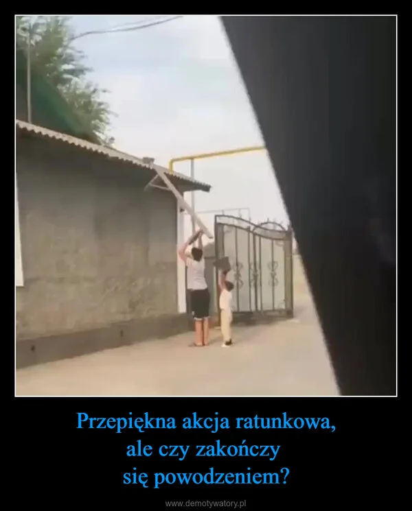 
    Przepiękna akcja ratunkowa, ale czy zakończy się powodzeniem?