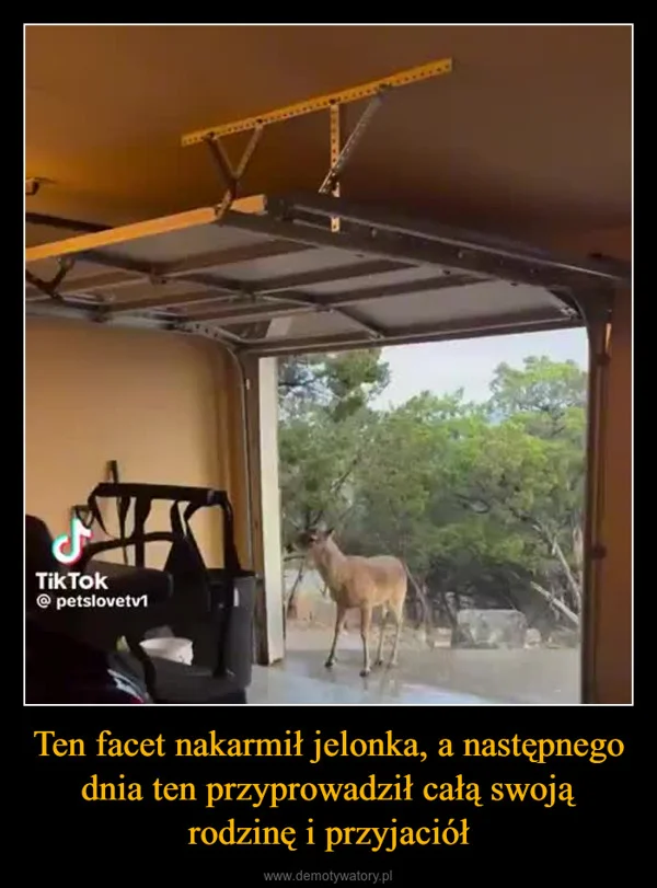 
    Ten facet nakarmił jelonka, a następnego dnia ten przyprowadził całą swoją rodzinę i przyjaciół