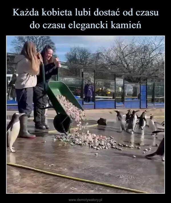 
    Każda kobieta lubi dostać od czasu do czasu elegancki kamień