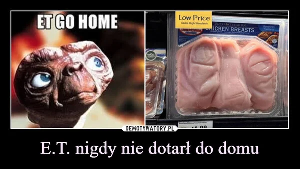 
    E.T. nigdy nie dotarł do domu