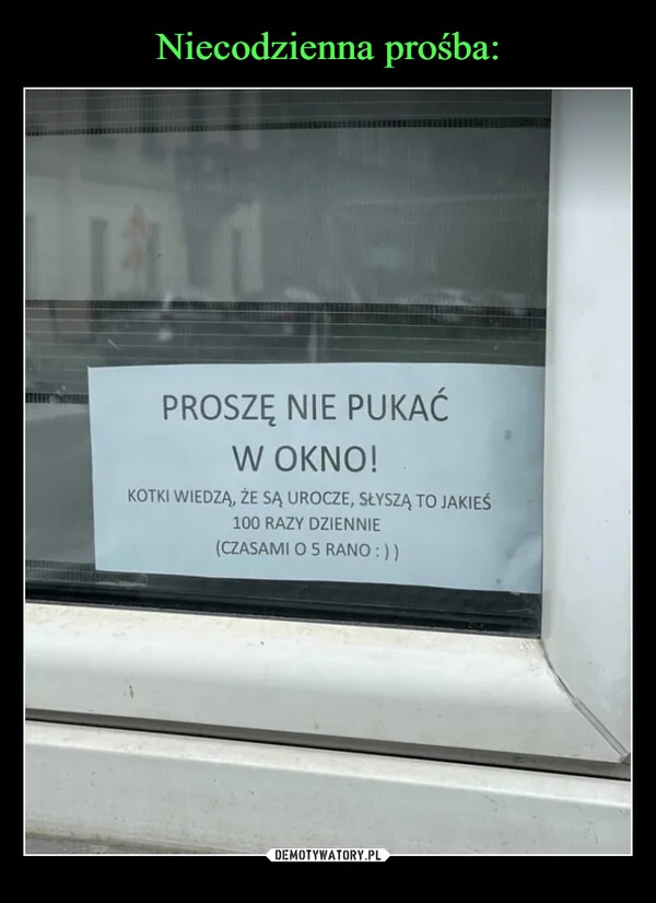 Niecodzienna prośba: