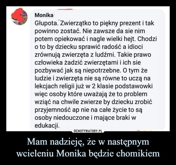 
    Mam nadzieję, że w następnym wcieleniu Monika będzie chomikiem