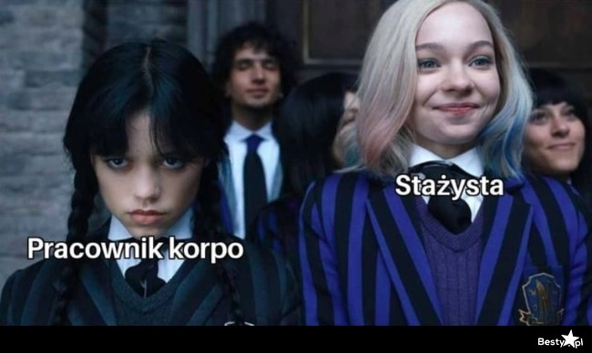 
    Pracownik vs. Stażysta 