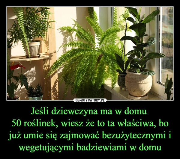 
    Jeśli dziewczyna ma w domu 
50 roślinek, wiesz że to ta właściwa, bo już umie się zajmować bezużytecznymi i wegetującymi badziewiami w domu