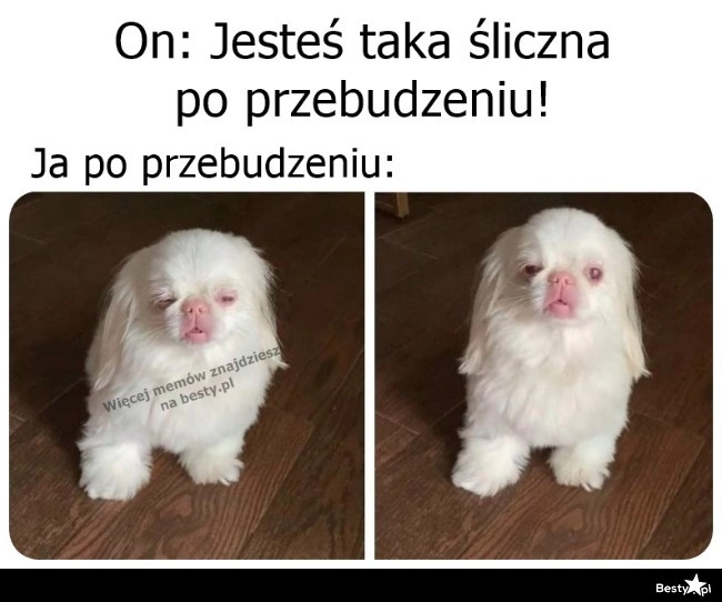 
    Polemizowałabym 