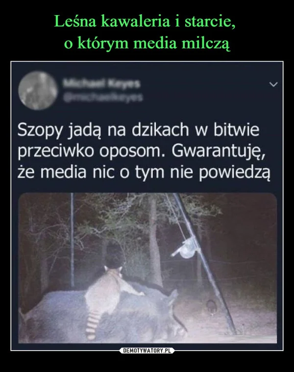 
    Leśna kawaleria i starcie, o którym media milczą