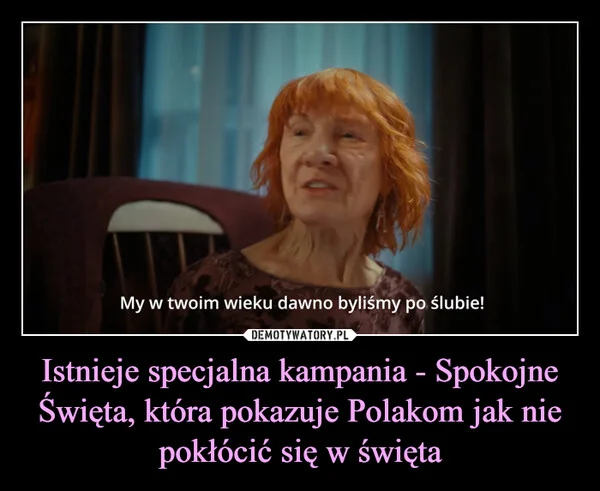 
    Istnieje specjalna kampania - Spokojne Święta, która pokazuje Polakom jak nie pokłócić się w święta