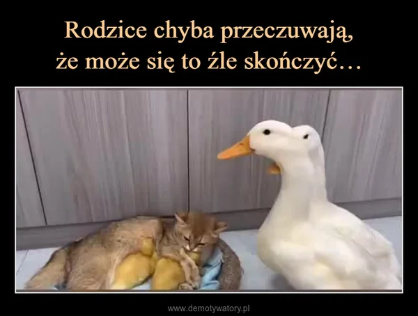 
    Rodzice chyba przeczuwają, że może się to źle skończyć…