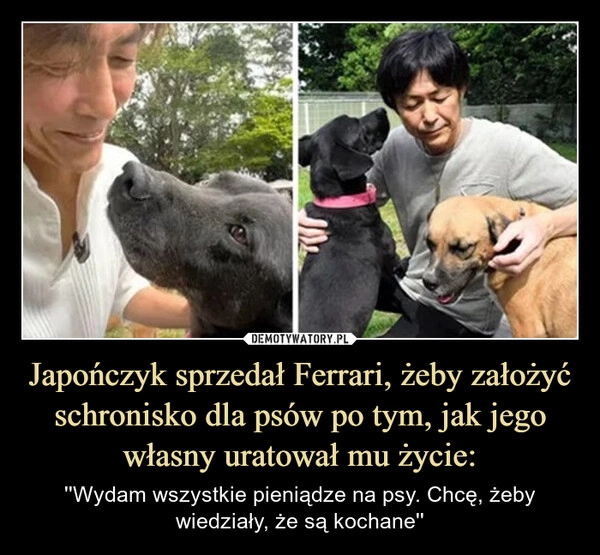 
    Japończyk sprzedał Ferrari, żeby założyć schronisko dla psów po tym, jak jego własny uratował mu życie: