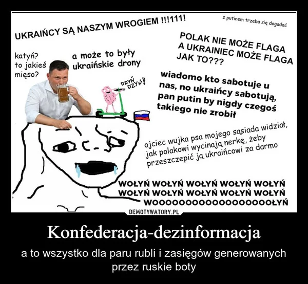 
    Konfederacja-dezinformacja