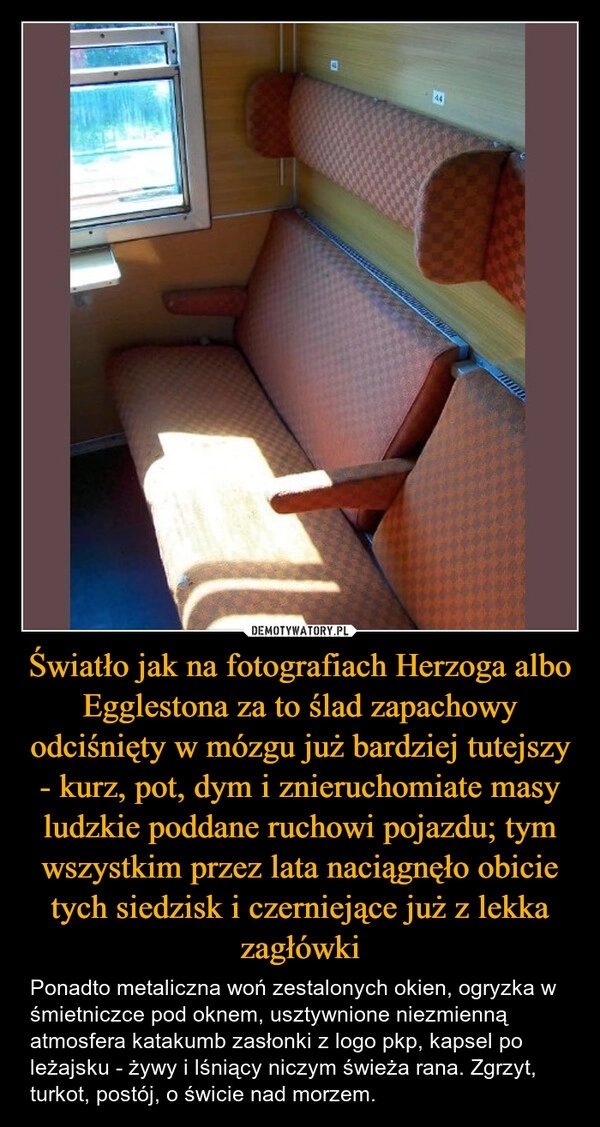 
    Światło jak na fotografiach Herzoga albo Egglestona za to ślad zapachowy odciśnięty w mózgu już bardziej tutejszy - kurz, pot, dym i znieruchomiate masy ludzkie poddane ruchowi pojazdu; tym wszystkim przez lata naciągnęło obicie tych siedzisk i czerniejące już z lekka zagłówki