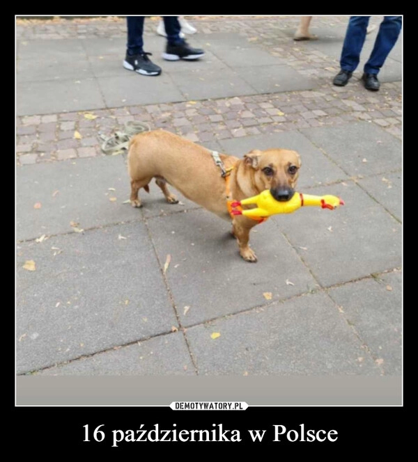 
    16 października w Polsce