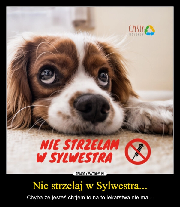 
    
Nie strzelaj w Sylwestra... 