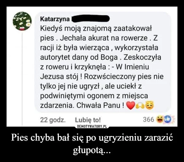 
    Pies chyba bał się po ugryzieniu zarazić głupotą...
