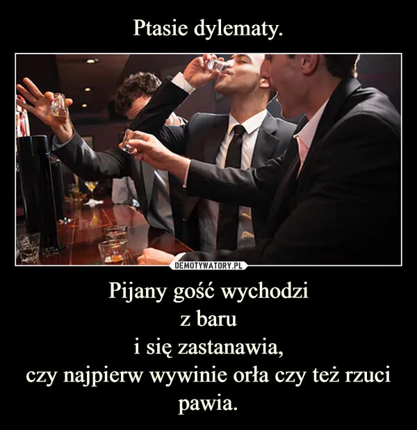 
    
Ptasie dylematy. Pijany gość wychodzi
z baru
i się zastanawia,
czy najpierw wywinie orła czy też rzuci pawia. 