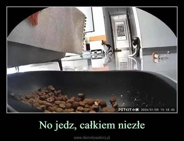
    No jedz, całkiem niezłe