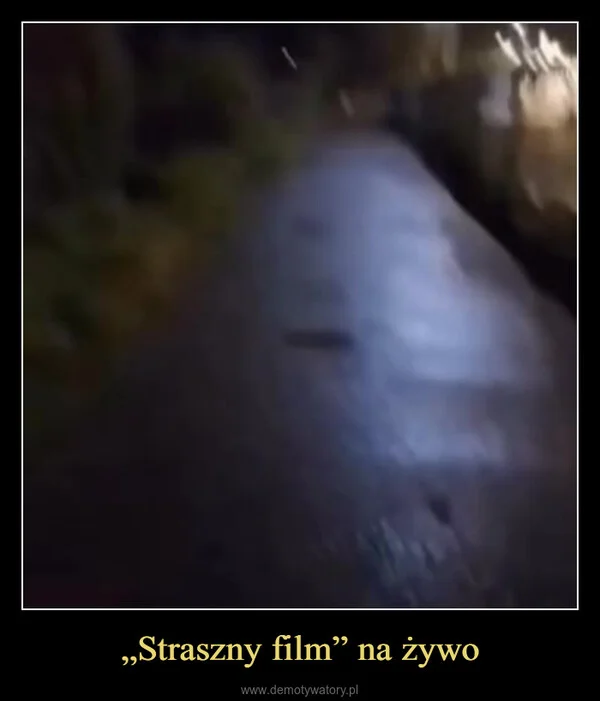 
    „Straszny film” na żywo