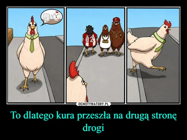 
    To dlatego kura przeszła na drugą stronę drogi