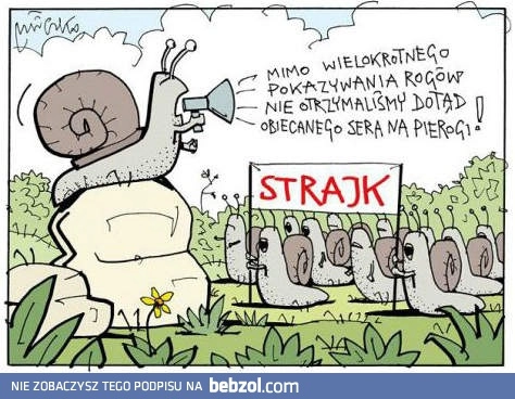 
    Strajk ślimaków!