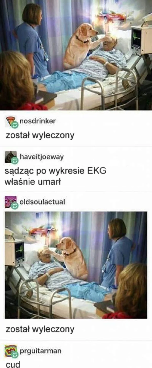 
    Uleczony