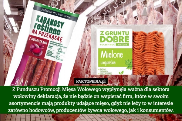 
    Z Funduszu Promocji Mięsa Wołowego wypłynęła ważna dla sektora wołowiny