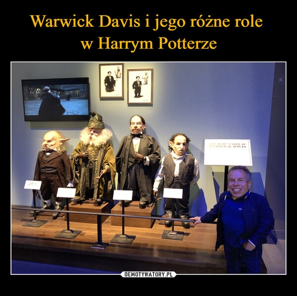 
    Warwick Davis i jego różne role 
w Harrym Potterze