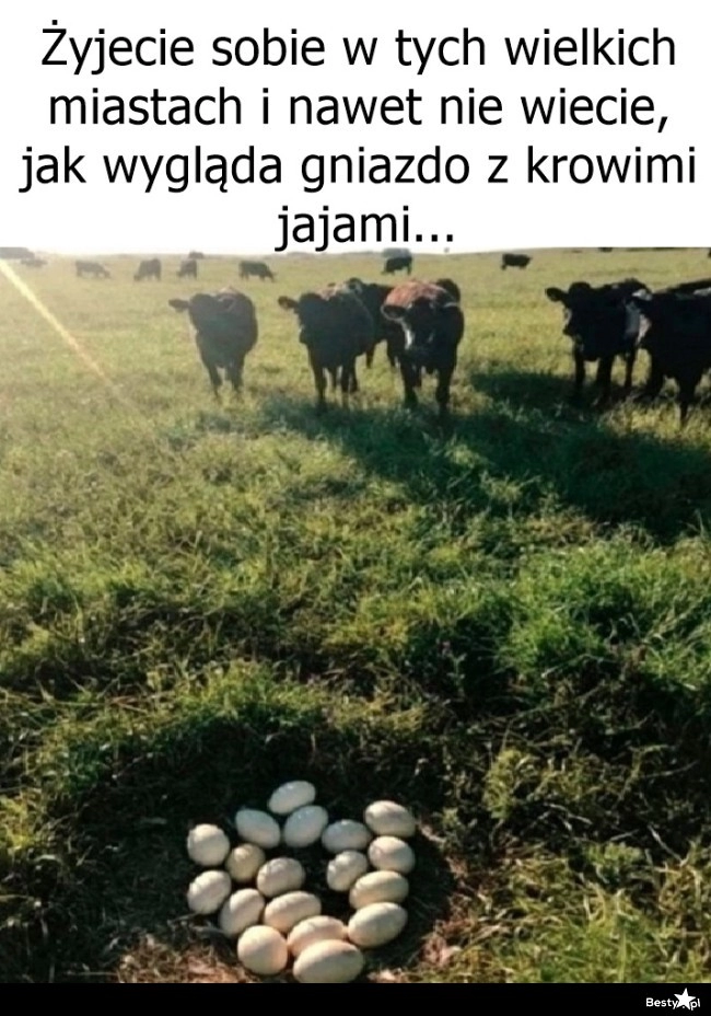 
    To już wiecie :D 