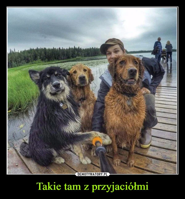 
    Takie tam z przyjaciółmi
