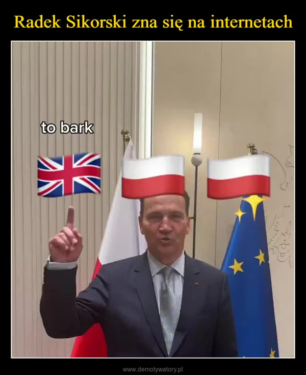 Radek Sikorski zna się na internetach